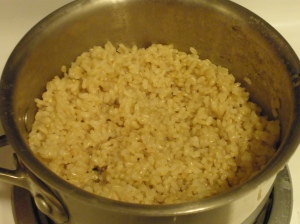 Rice post 016